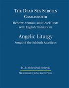 The Dead Sea Scrolls, Volume 4B