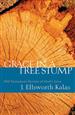 Grace in a Tree Stump
