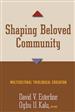 Shaping Beloved Community