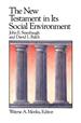 The New Testament in Its Social Environment