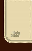 Common English Bible - Compact Thinline